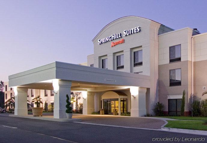 Springhill Suites By Marriott Bellingham Exterior photo
